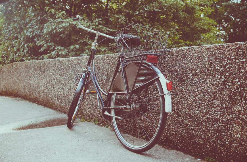 第5篇 西歐低地_荷蘭客人